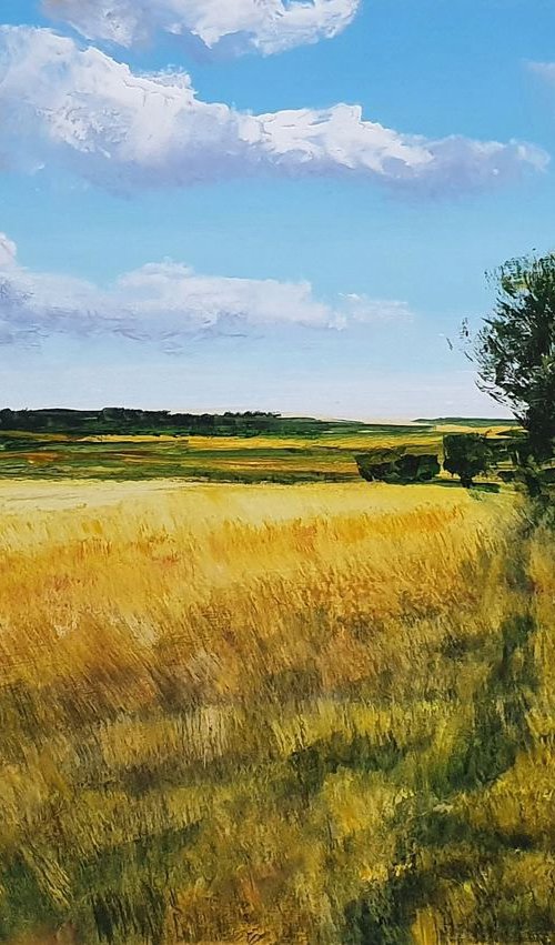 "Path through the field of wheat"   SPECIAL PRICE!!! by Ivan  Grozdanovski