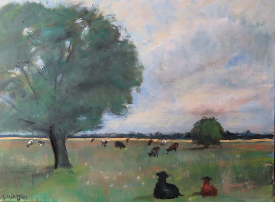 Cow Meadow
