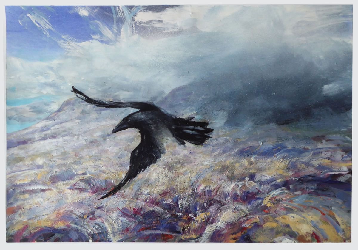 Crow, Bleaklow by John Sharp