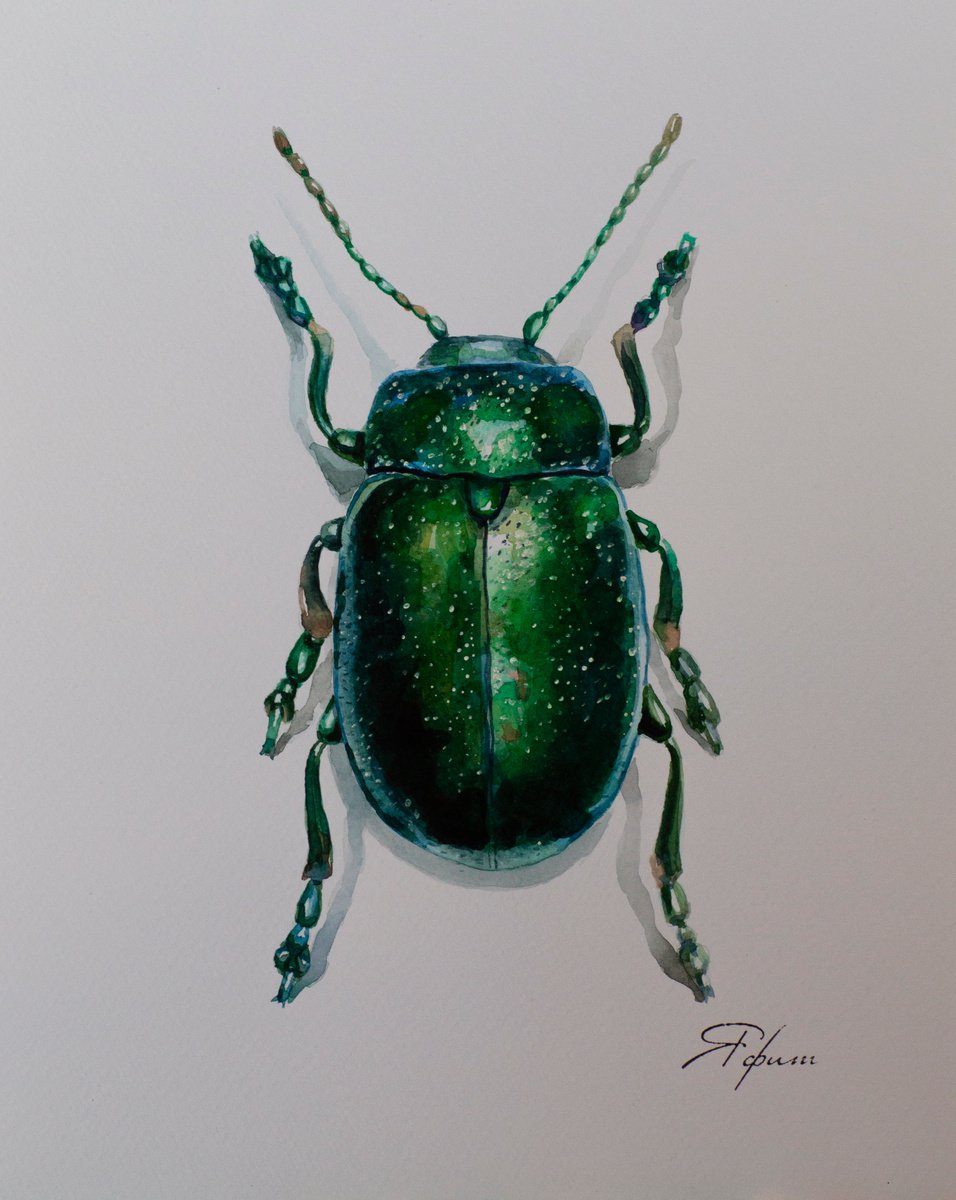 Green beetle by Yafit Moshensky