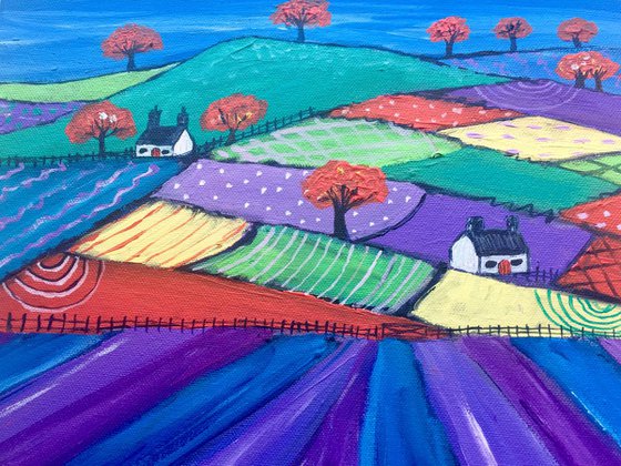 Scented Lavender Fields - Scottish Landscape 30x30