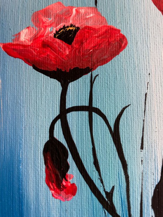 Red Poppies in a frame