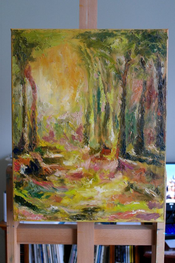 Old Forest #4
