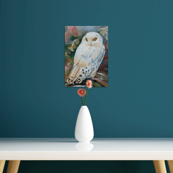 White owl (First snow in the old forest)