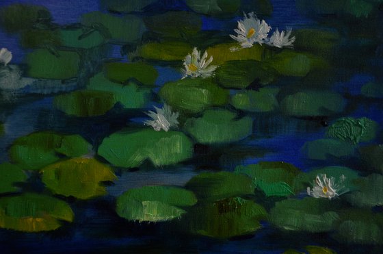 Lily pond. Sleeping