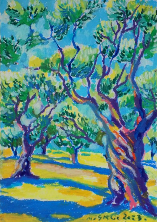 Old olive orchard XVII by Maja Grecic