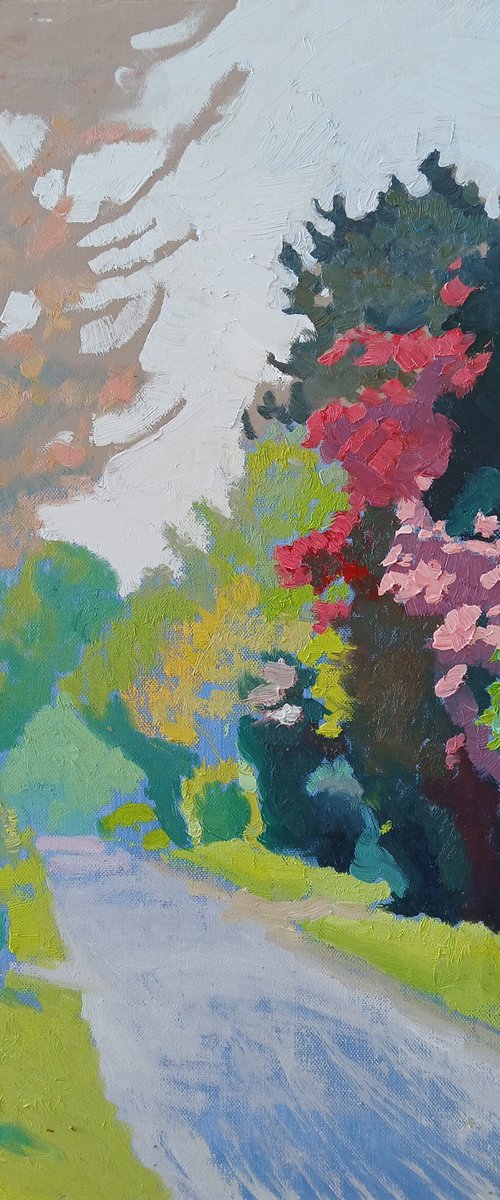 Sakura in Bloom by Vasyl Koval