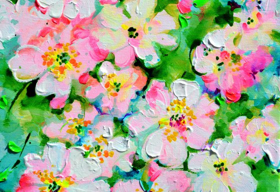 Wild White and Pink Roses