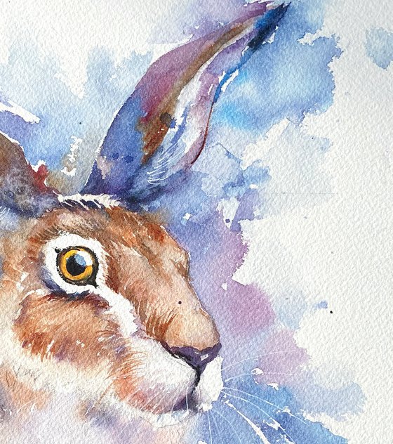 Harley the Hare