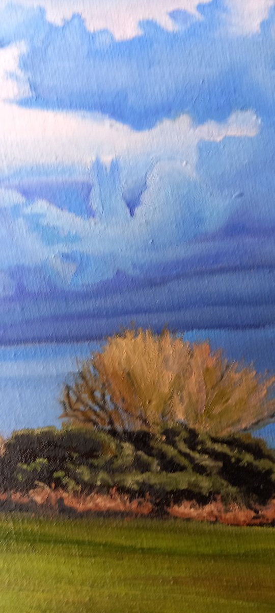 Landscape Oil Painting By Lisa Punter, 8 X 8", Winter Light On The East Hill, Original Artwork