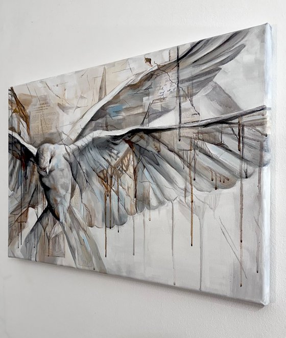 White Beige Blue Pigeon Abstract Bird