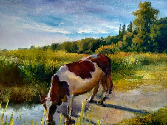 Cow at the watering