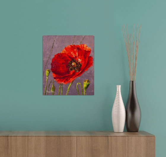 Red poppy