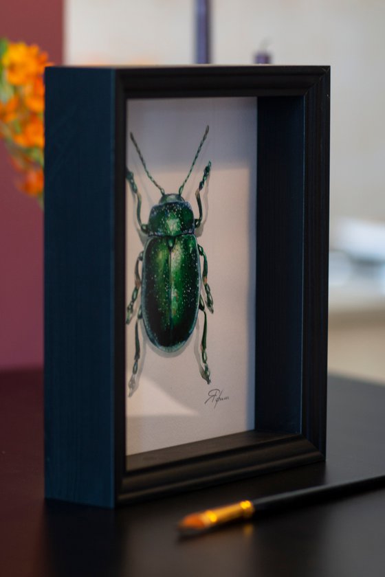 Green beetle