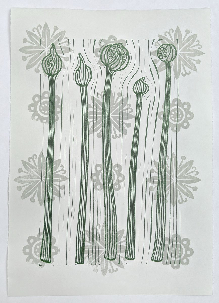 Onions Bolting by Melissa Birch