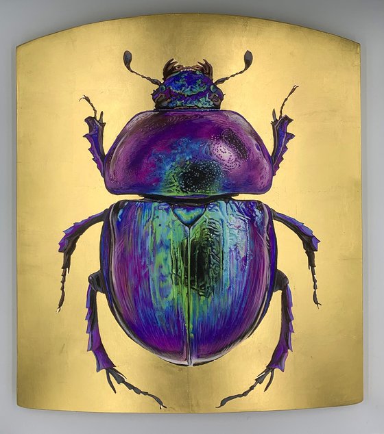 spring dor beetle