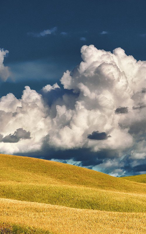 Summer in Tuscany  III. by Peter Zelei