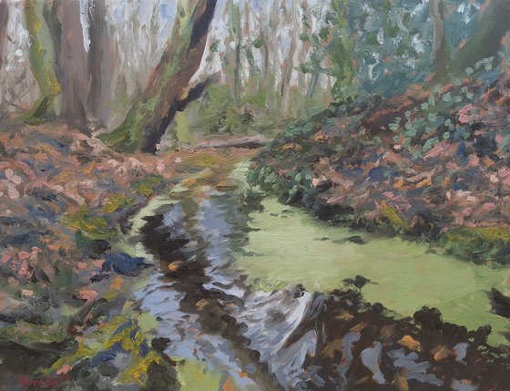 Woodland Stream