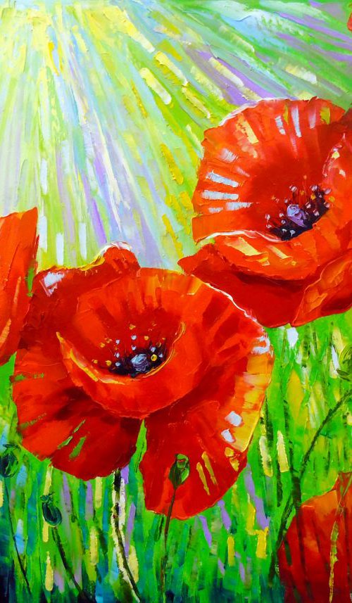 Poppies and sun by Olha Darchuk