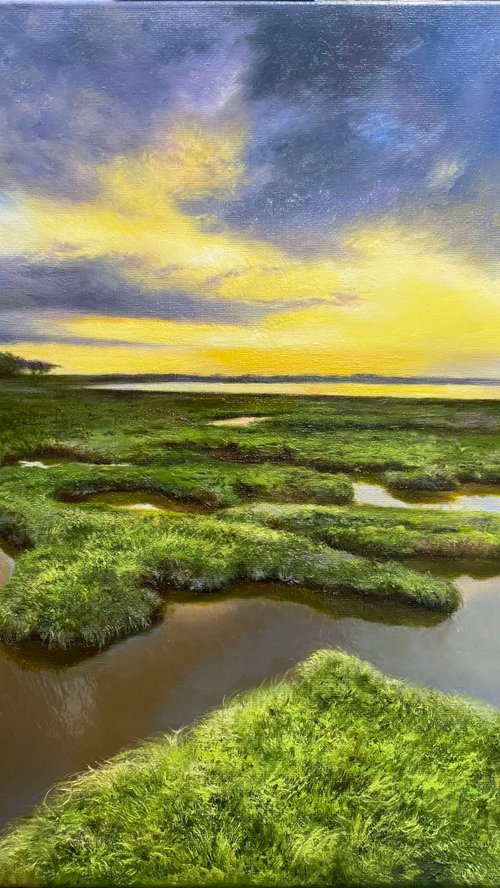 March land by Farzaneh Maddahi