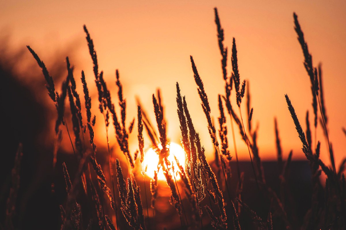 Photorealistic Landscape Photograph By Emily Kent, 36 X 24, Aglow, Original Artwork