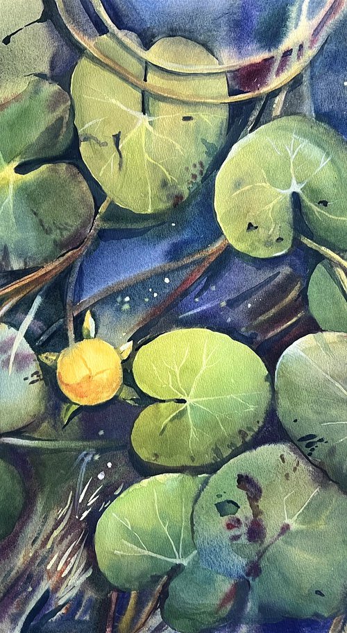 Pond with water lilies by Natalia Veyner