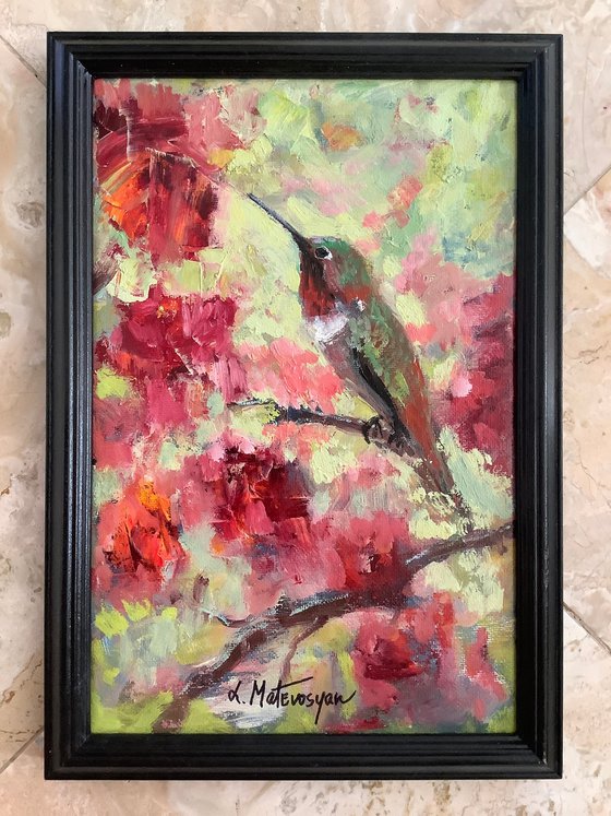 Hummingbird
