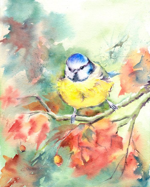 Blue tit amongst autumn foliage, an original watercolour painting by Anjana Cawdell