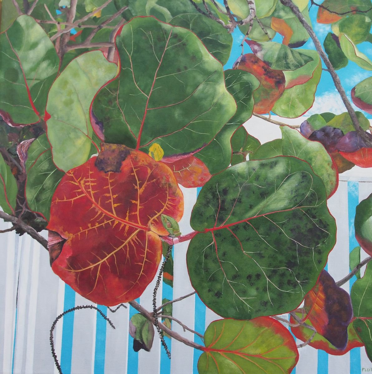 Floral Series 10 By Steven Fleit, 30 X 30, Artwork For Sale On Artfinder