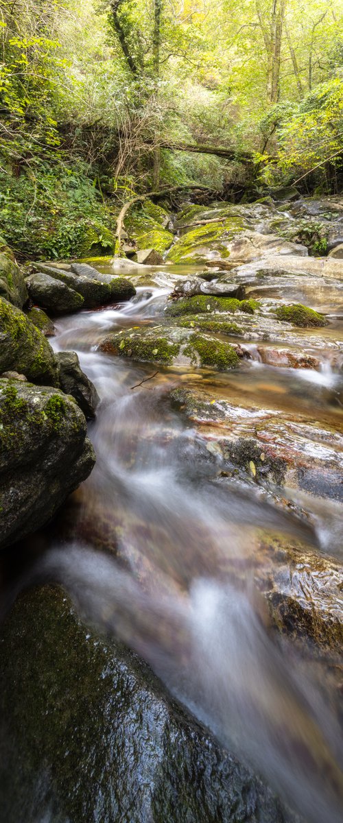 HIDDEN SOURCES - Photographic Print on 10mm Rigid Support by Giovanni Laudicina