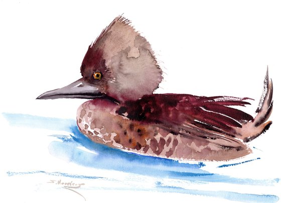 Hooded Merganser Duck painting