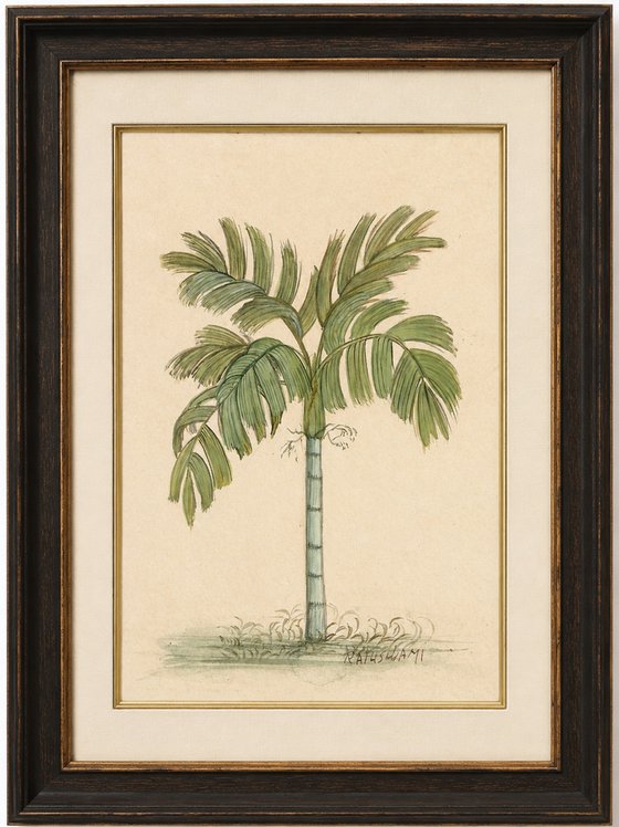 Royal Palm | Indian Miniature