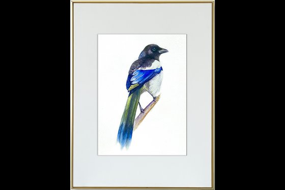 Watercolour bird magpie sitting on a branch in the rays of the sun 4