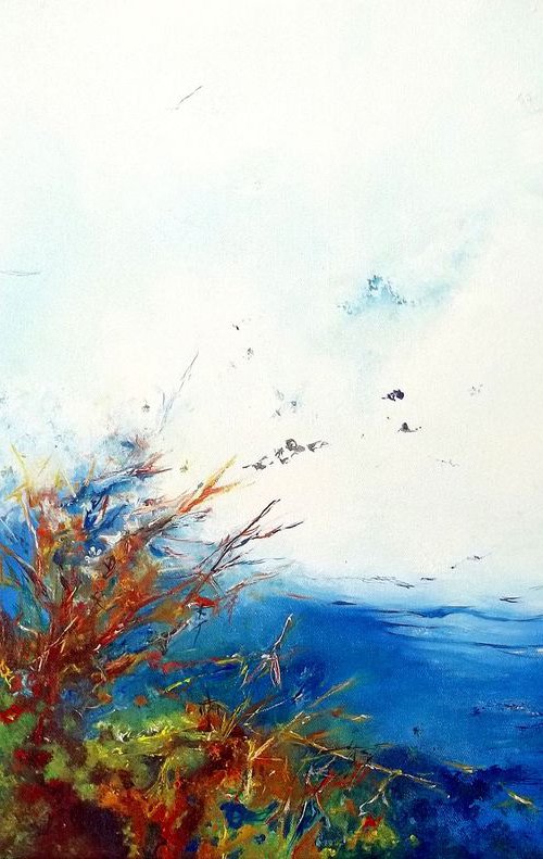 The wild swim by Théophile DELAINE