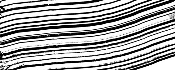 GA#394  BN abstract #4