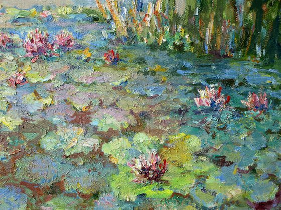 Water Lilies in autumn pond