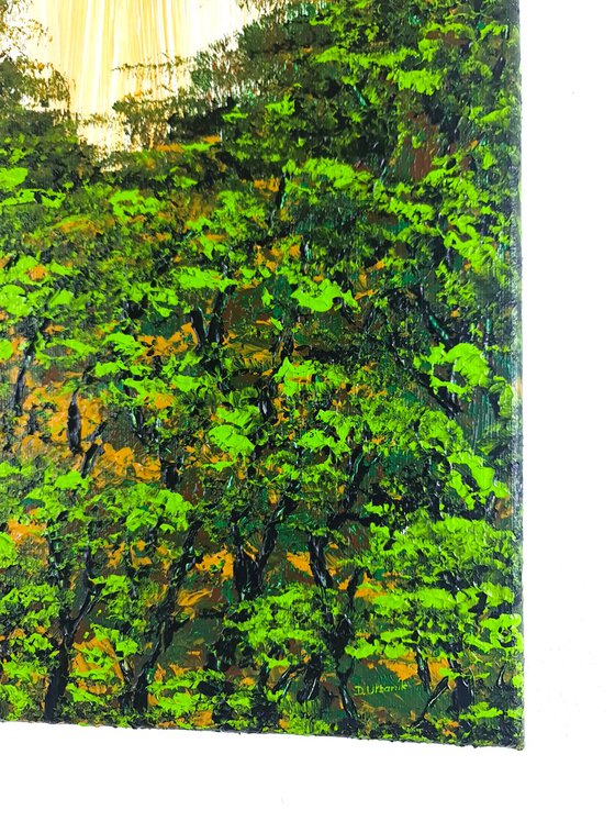 Nice Forest 2
