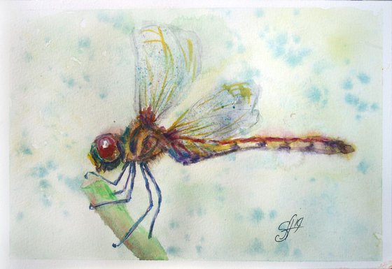 Dragonfly /  ORIGINAL PAINTING