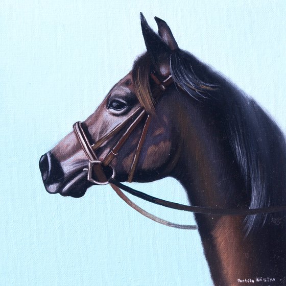 Horse Portrait 23