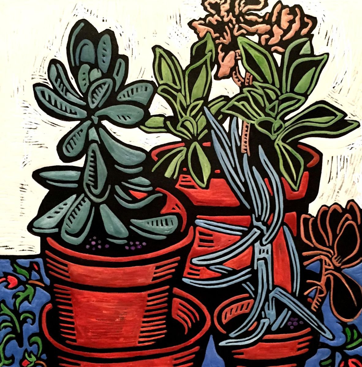Succulents in terracotta pots by Laurel Macdonald