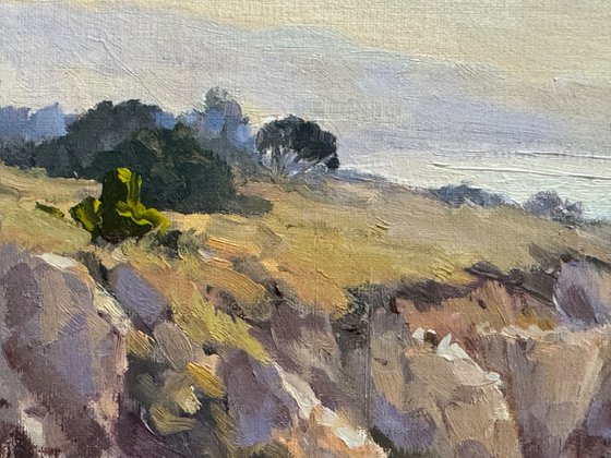 Coastal View From the Bluffs