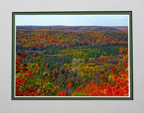 Michigan Fall Colours by Robin Clarke