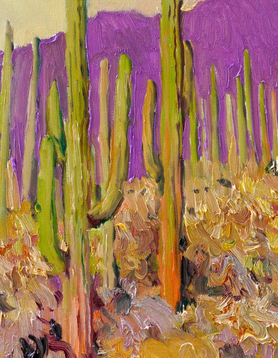 Saguaro Cactuses