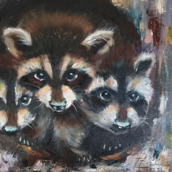 Raccoon Family