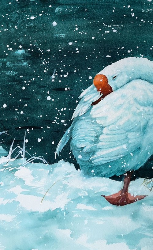 Sleeping Goose in Snow by Olga Beliaeva Watercolour