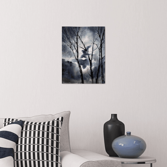 Birch trees in the moonlight