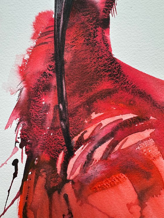 Scarlet Ibis
