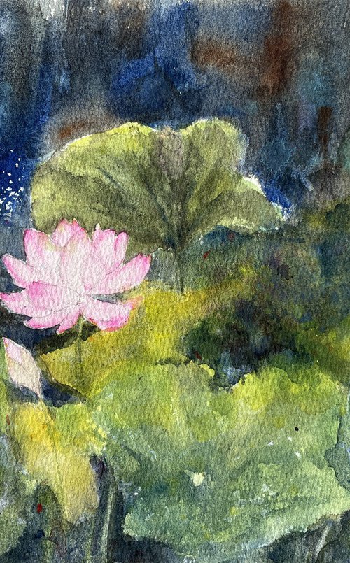Lotus pond by Shelly Du