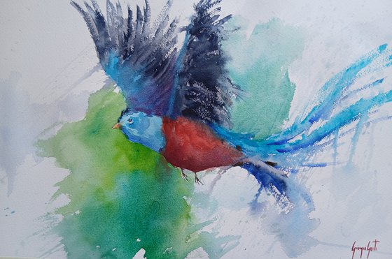 Resplendent Quetzal 2