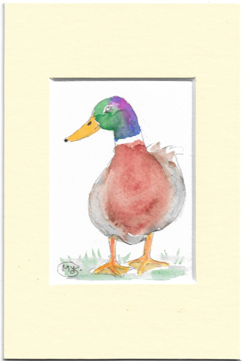 Mallard Duck in a mount. Miniature painting by MARJANSART